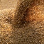 REUTERS/Jorge Adorno