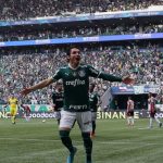 palmeiras